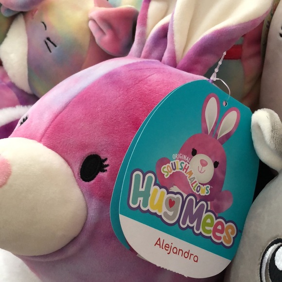 🐰 LAST Squishmallow Alejandra the HugMees Bunny! BNWT - Picture 2 of 3